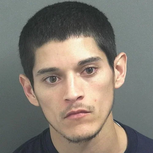 Linton man charged with domestic battery in the presence of children