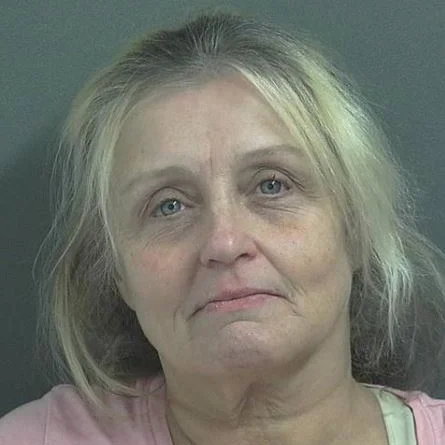 Linton woman charged with two counts of theft of utilities
