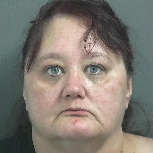 Greene County Drug Task Force came knocking last weekend, Linton woman arrested this week