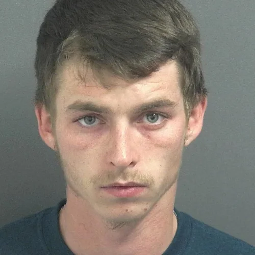 Lyons man facing charges after traffic stop in Worthington