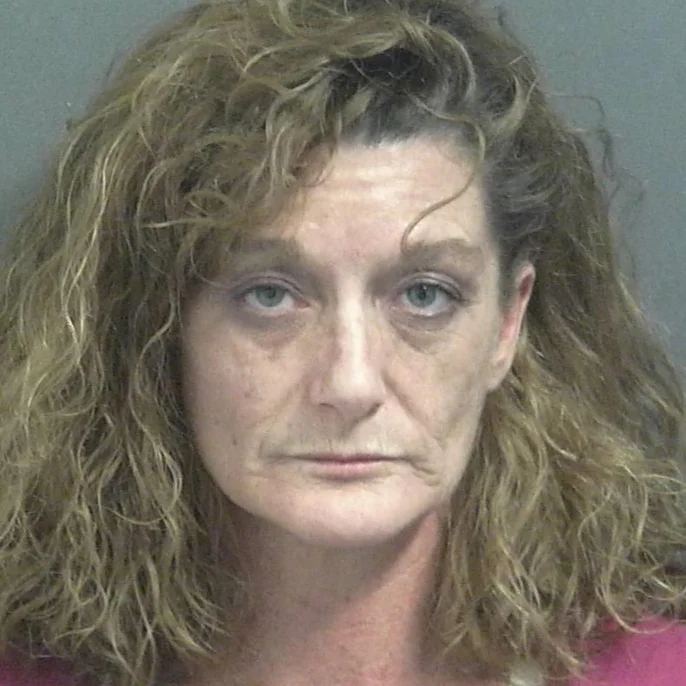 911 called after Lyons woman allegedly smoked spice then had a seizure