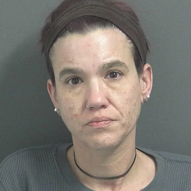 Woman sentenced after pleading guilty to wearing holstered handgun into a high school