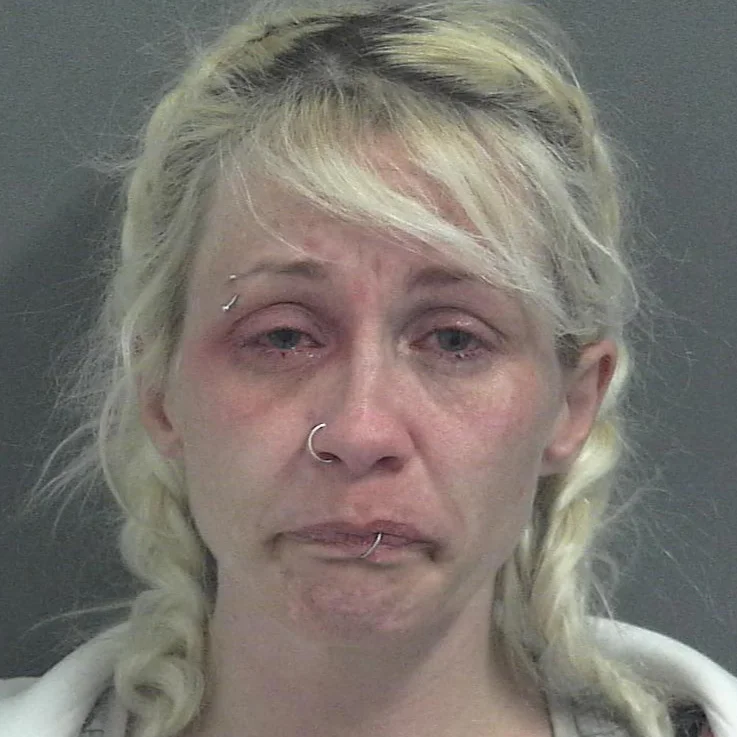 Lyons woman now facing three pending criminal cases 