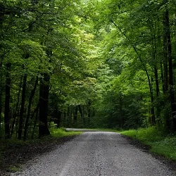 Death investigation underway in southeastern Greene County