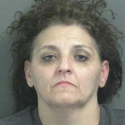 Traffic stop leads to discovery of precursors and equipment for meth making