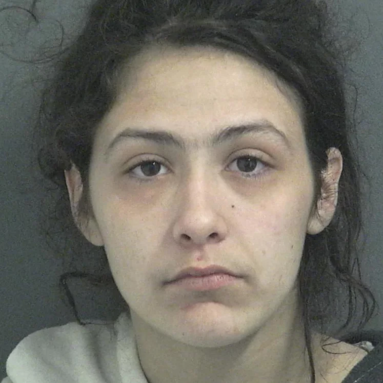 Woman accused of punching another woman then threatening her with a knife