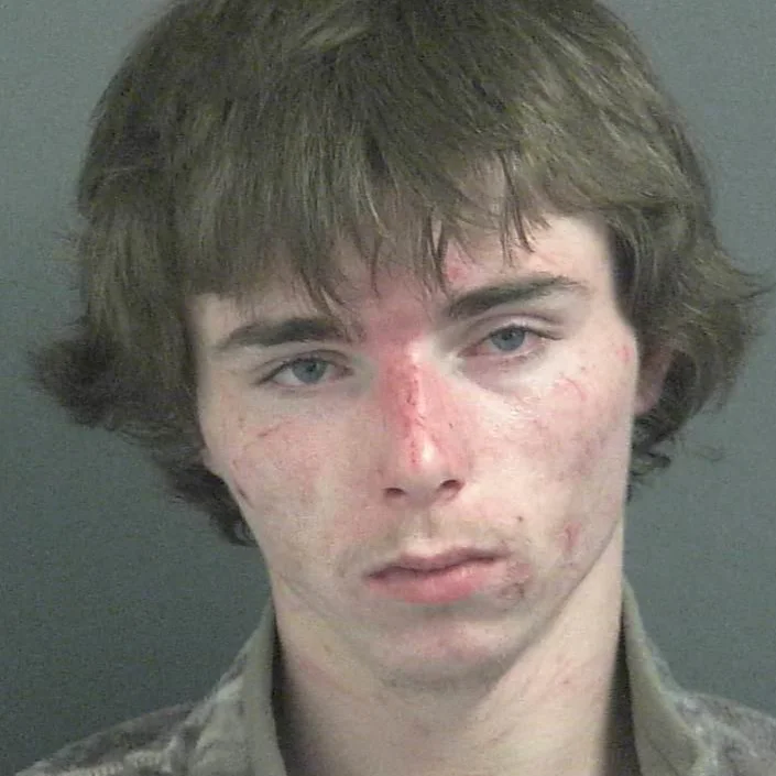 Wanted man in custody