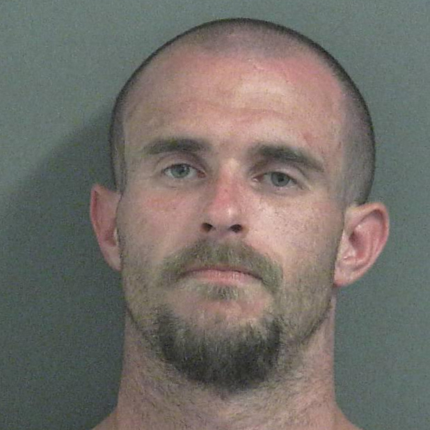 Walker charged with disorderly conduct