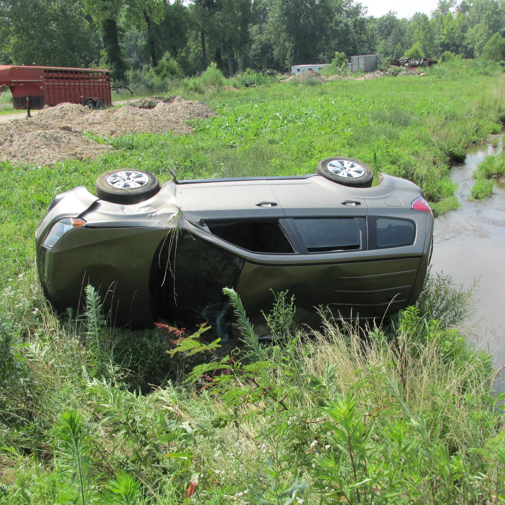UPDATED: Cat in a bag blamed for distracting driver in rollover crash 