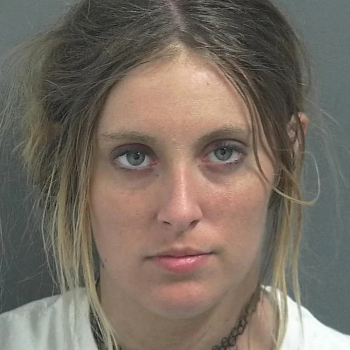 Mercedes stopped, driver arrested, OVWI charges filed