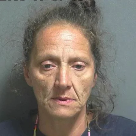 Traveler said that marijuana in her car was medicine