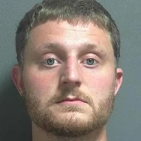 Cutting of two valuable trees leads to accusation of theft