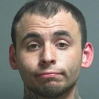 Video surveillance leads to arrest of theft suspect