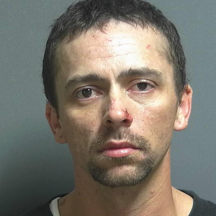Alleged shoplifter accused of stealing a smorgasbord of stuff