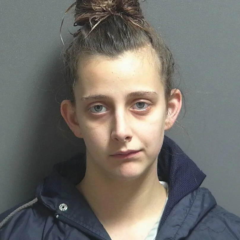 Linton woman accused of hitting an officer near her eye 