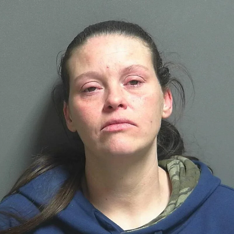 Domestic dispute ends with first arrest of 2020