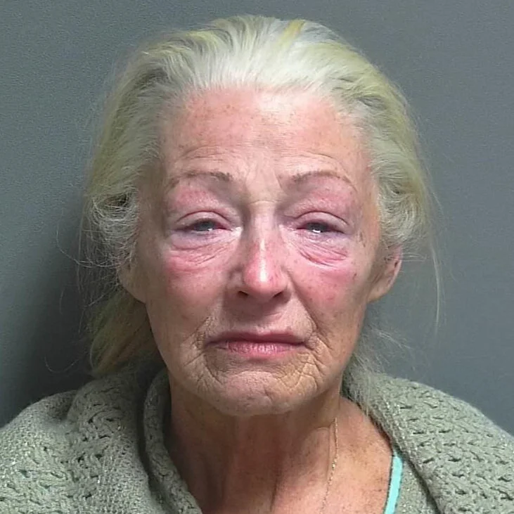 Linton woman charged with OVWI