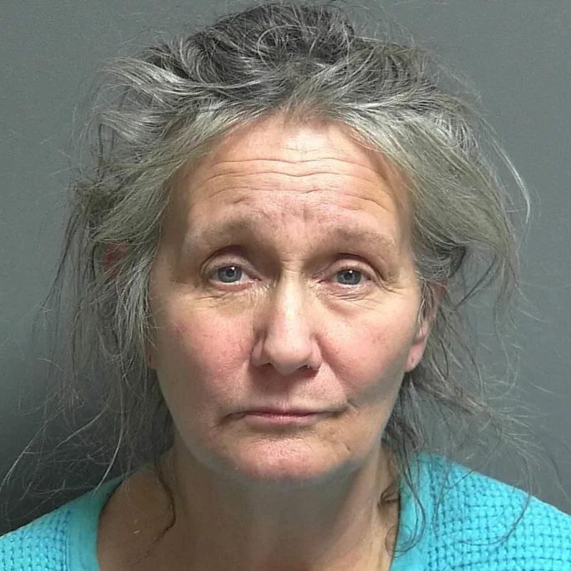 Rural Bloomfield woman arrested for meth possession
