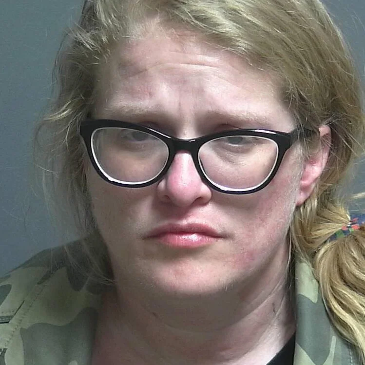 Bloomfield woman faces felony for theft of wallet