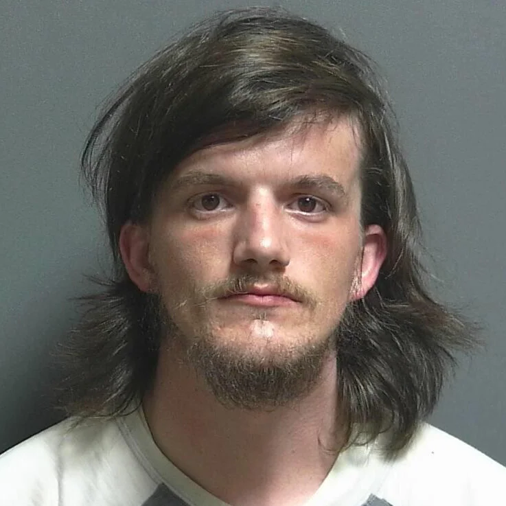 Traffic stop leads to drug charges