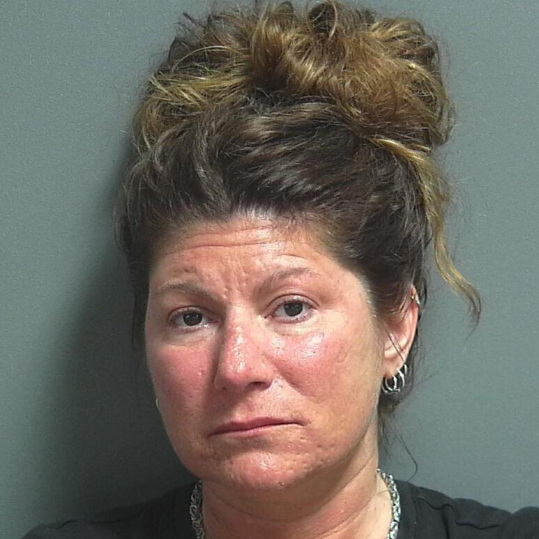 Linton woman accused of choking a child then kicking two officers