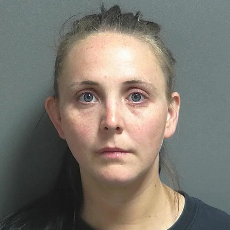 Woman accused of domestic battery is facing a felony charge