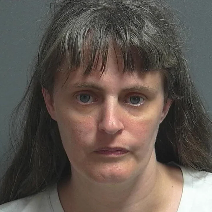 Rural Bloomfield woman charged with arson