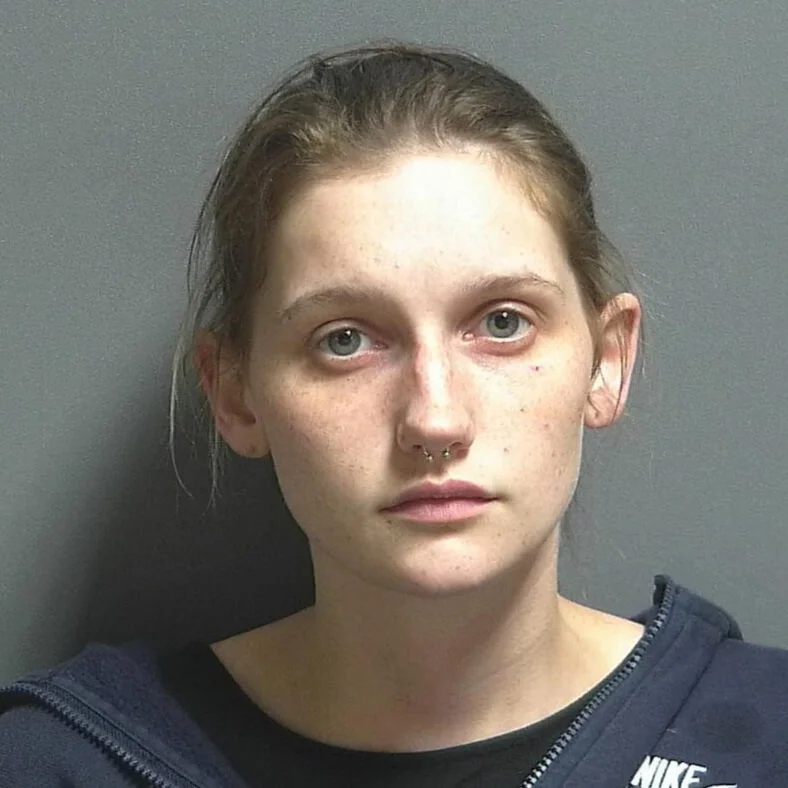 Juvenile suspected of dealing methamphetamine