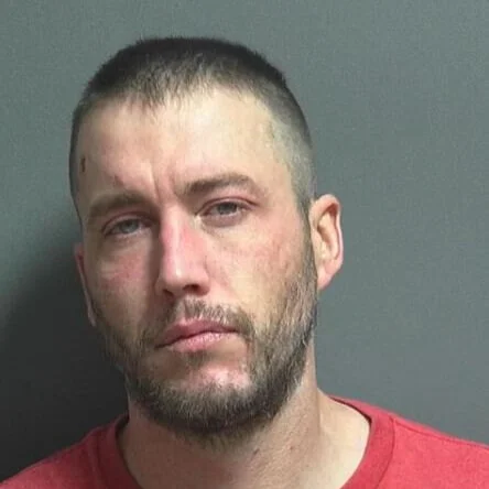 Bloomfield man accused of growing pot and letting pigs run loose