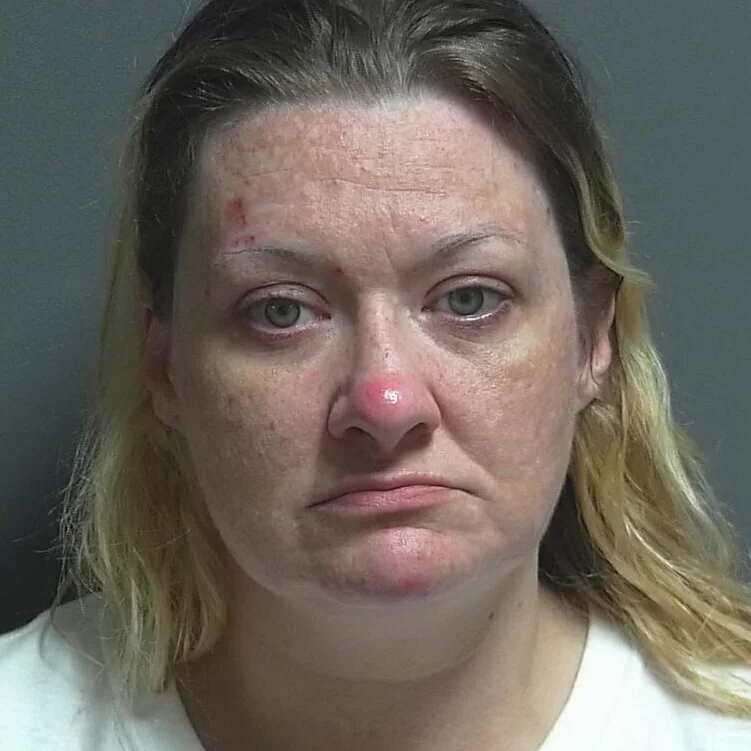 Greene County Drug Task Force busts suspected meth dealer