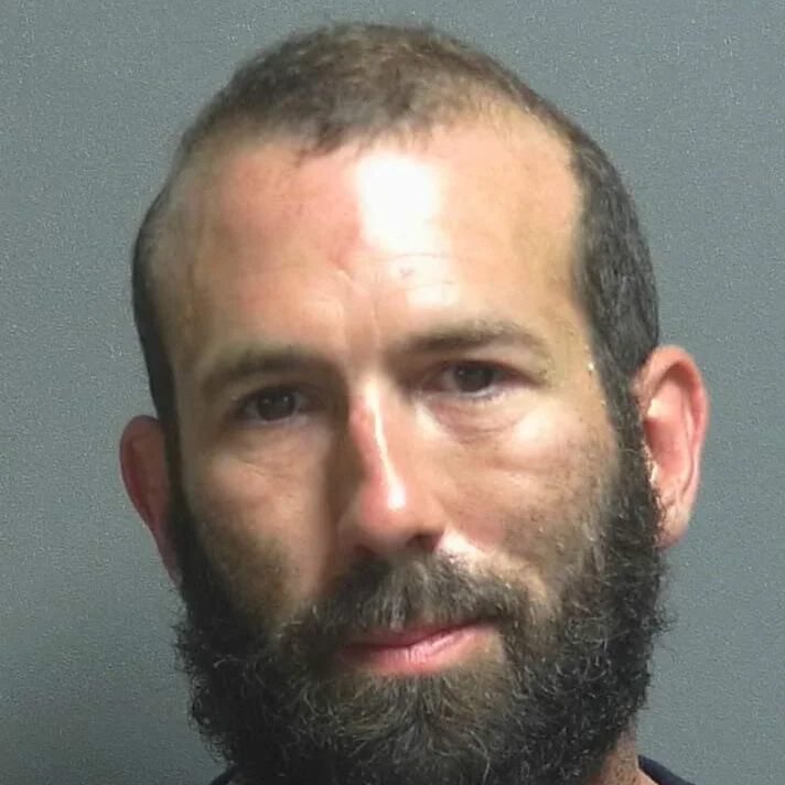 Harley rider arrested after running off the road near Newberry Wednesday night