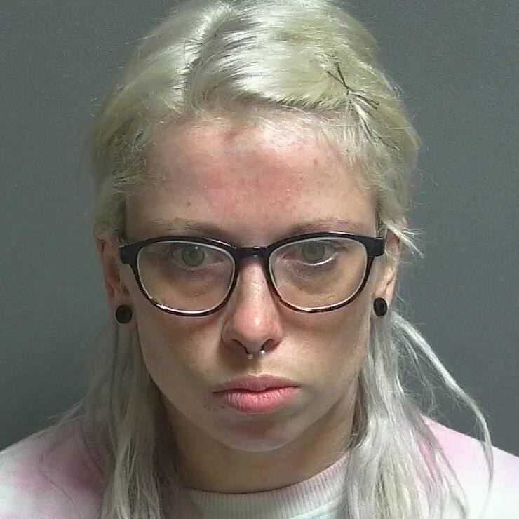 Switz City woman accused of meth possession 