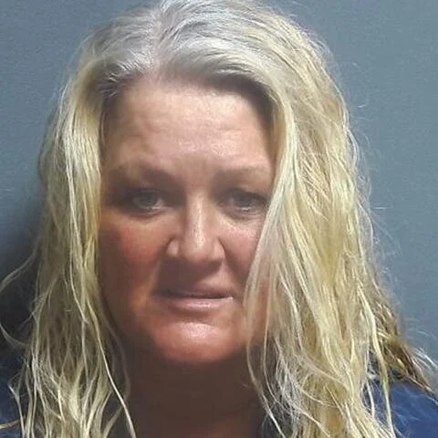 Intoxicated visitor accused of domestic battery