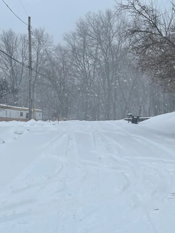 In Bloomfield by Austin Joe Vester