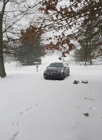 In eastern Greene County by Virginia Goodman