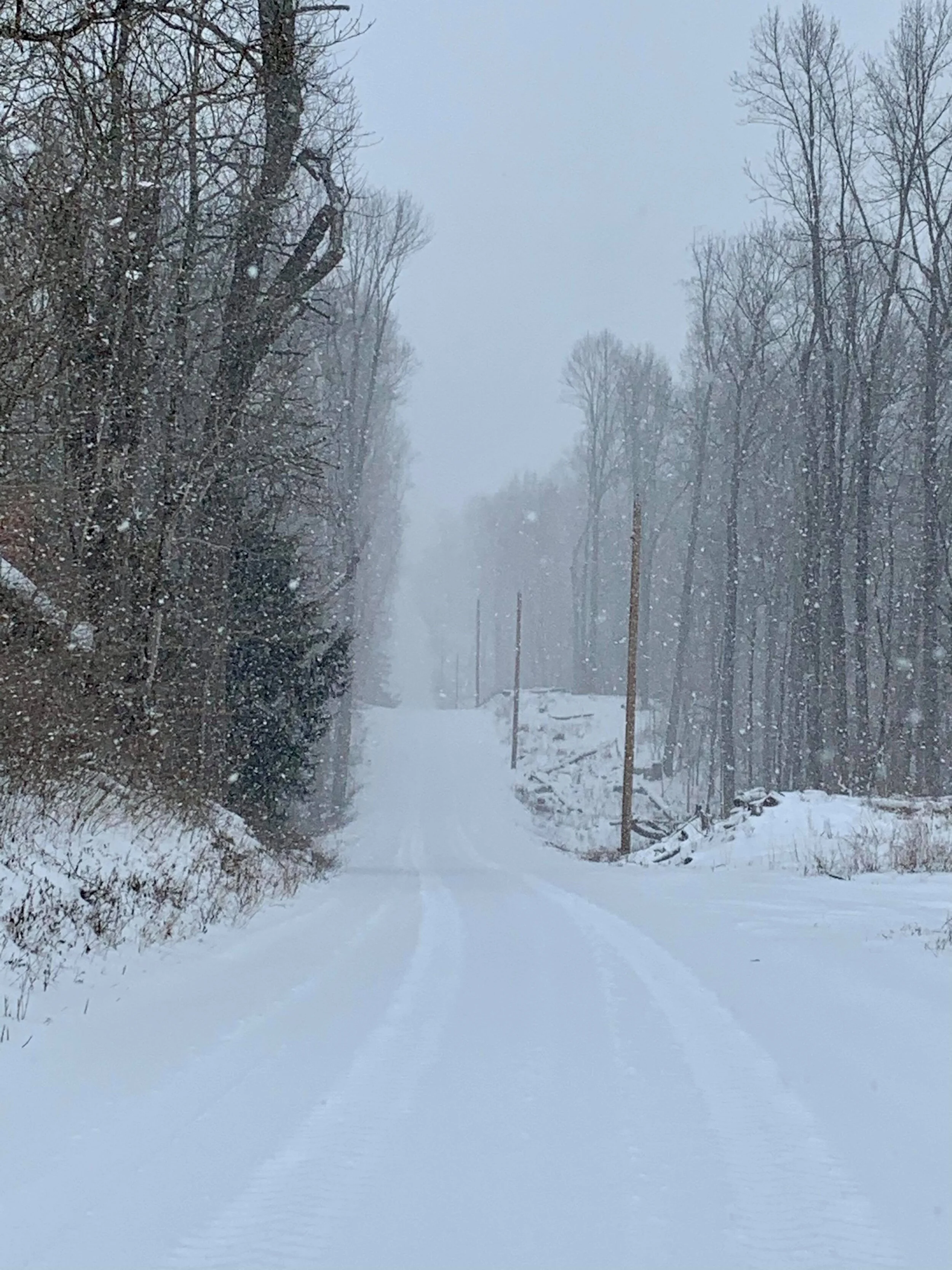 North of Worthington near the Greene County/Owen County line by Donna Egenolf