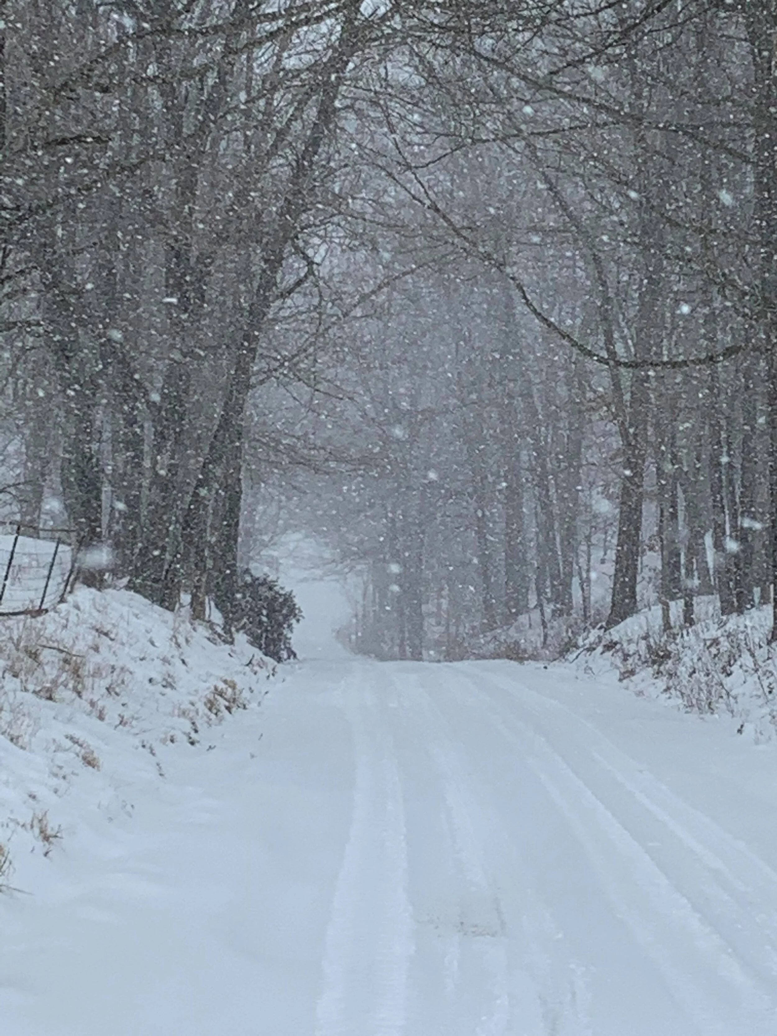 Beautiful country road by Donna Egenolf