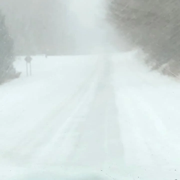 Greene County Snowstorm Photos: Monday, February 15, 2021