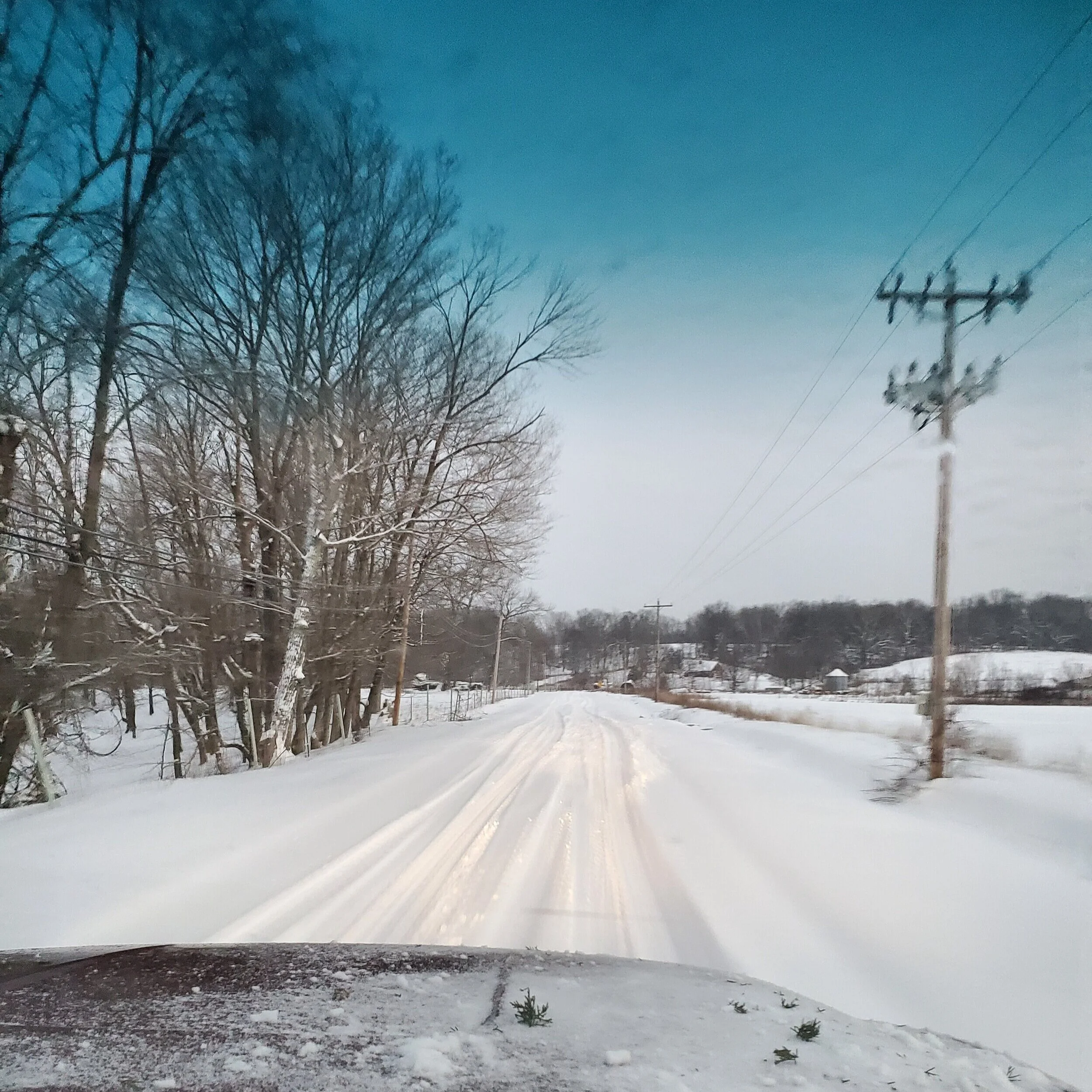 Snowy Day in Greene County; Tuesday morning on the Mineral Road near Bloomfield