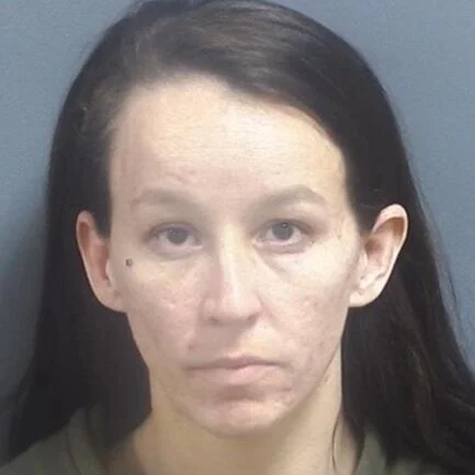 Woman arrested during cabin break-in investigation was wanted in other counties