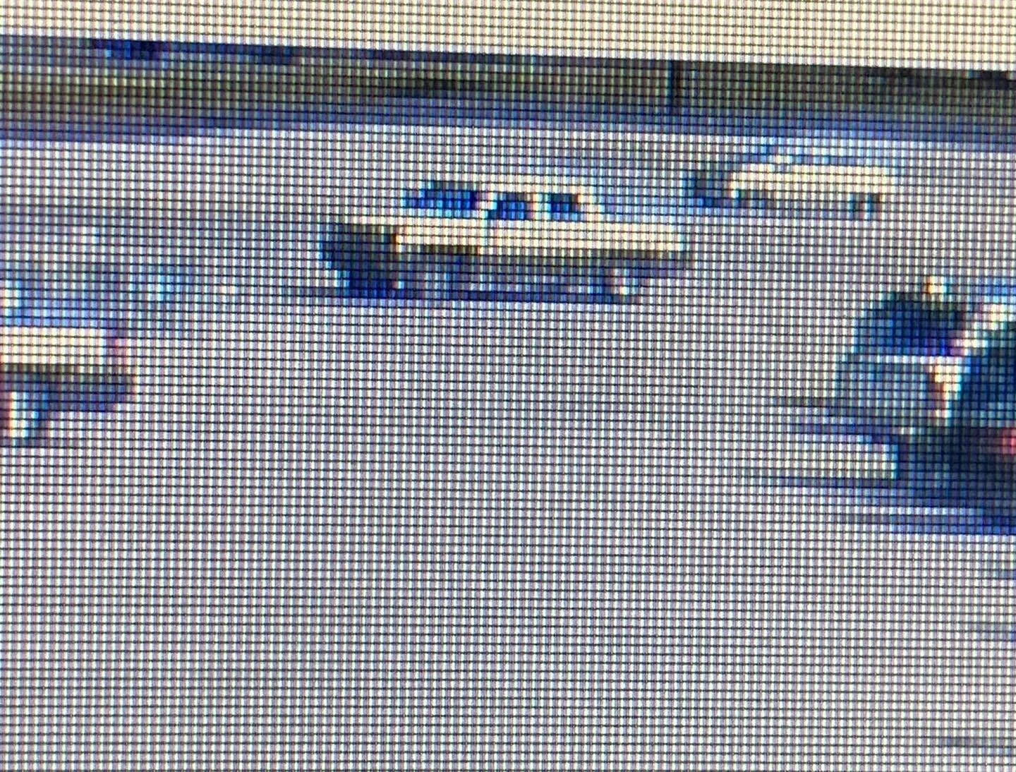 2021-03-24 dnr suspect 2.jpg