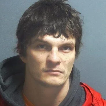 Driver who took car to Kentucky for a test drive is sentenced