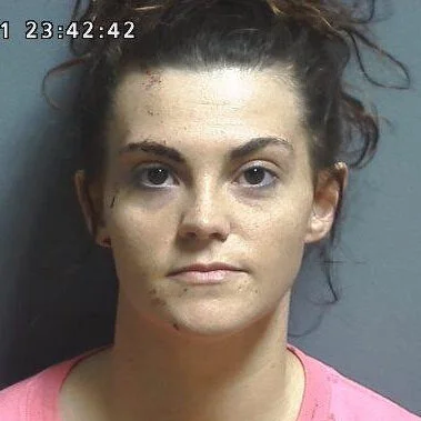 Linton woman arrested in domestic incident