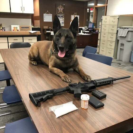 Elsewhere: Multi-agency effort leads to arrest of two suspected of dealing meth in area counties