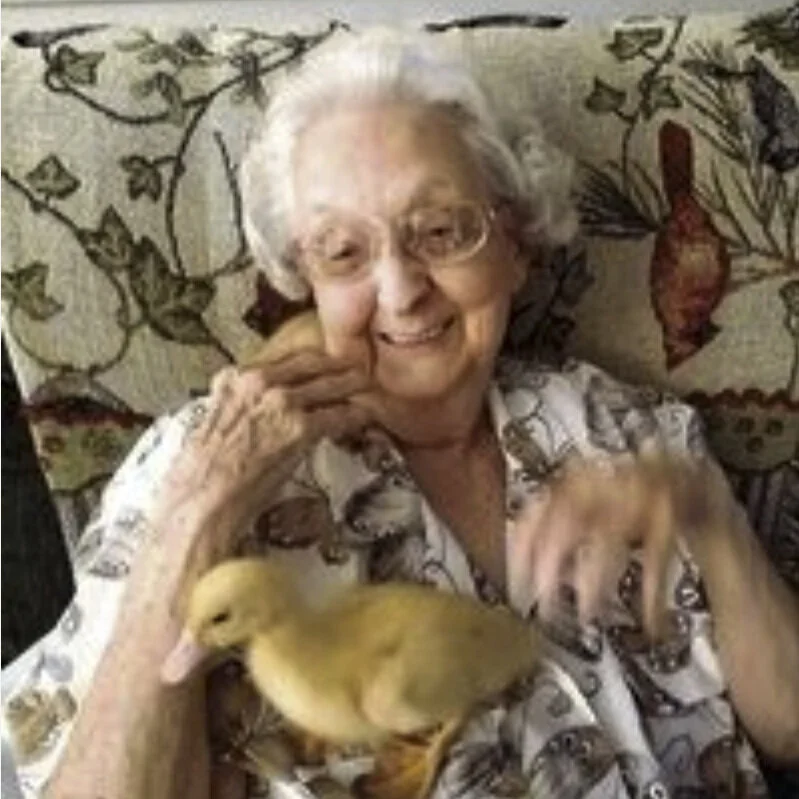 Virginia "Skip" Brewer