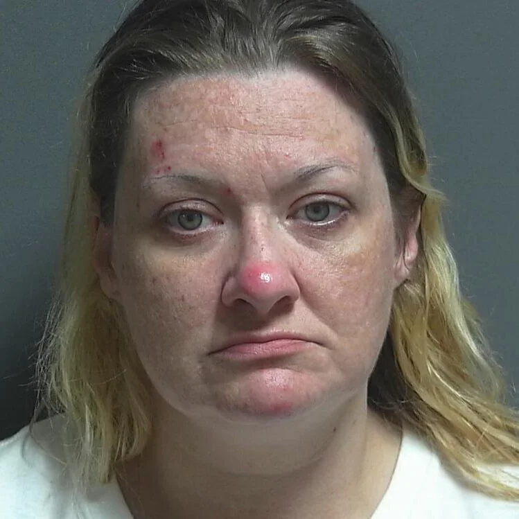 Meth dealer recently sentenced, now in prison until 2029