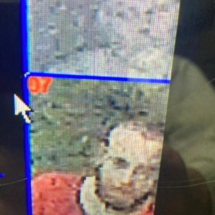 ISP seeking assistance from the public to identify two individuals of interest in Carlisle shooting