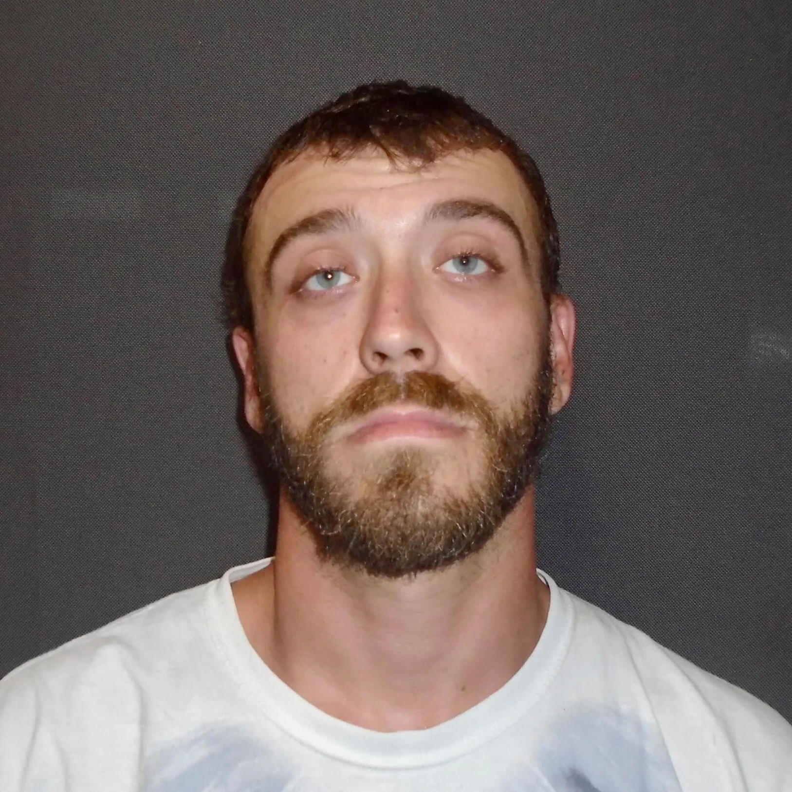 Greene County man facing five felonies in Sullivan County