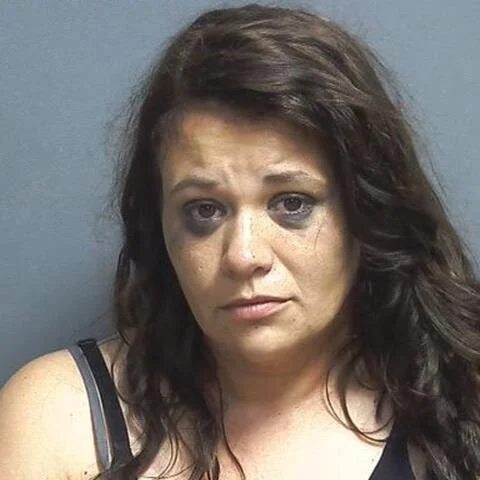 Bloomfield woman facing charges of domestic battery, breaking and entering, and theft