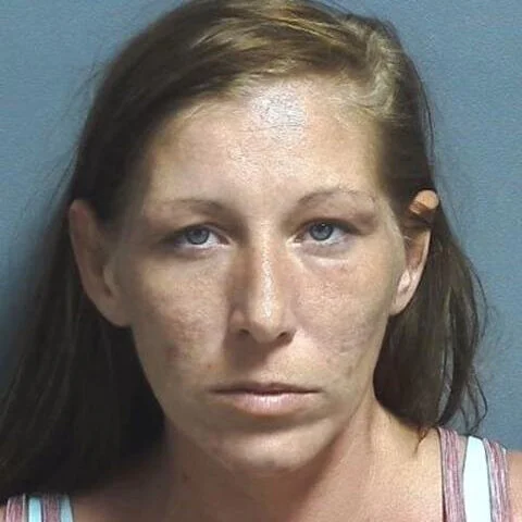 Suspicious behavior at a school leads to arrest of woman for auto theft